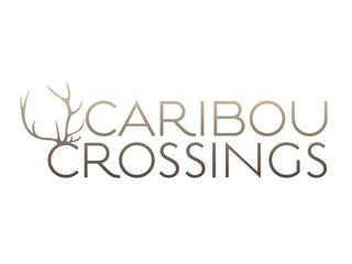 Caribou Crossings